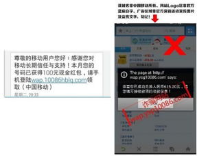 《Q2移動安全報告深度解讀 支付安全問題高居榜首，網(wǎng)絡(luò)安全軟件開發(fā)迎來新挑戰(zhàn)與機遇》